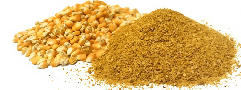 investment-seed-round